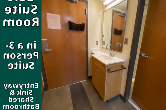 Left Suite Room in 3-Person Suite Sink & Shared Bathroom Door