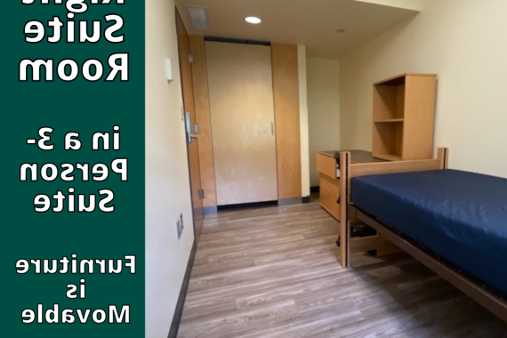 Right Suite Room in 3-Person Suite Moveable Furniture